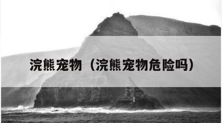 浣熊宠物（浣熊宠物危险吗）