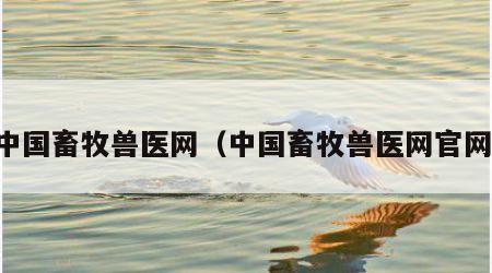 中国畜牧兽医网（中国畜牧兽医网官网）