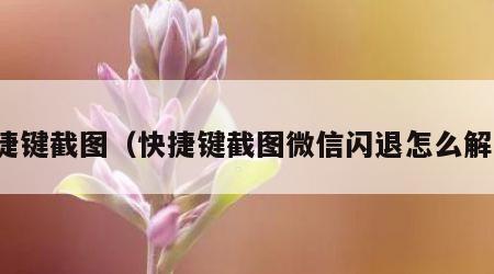 快捷键截图（快捷键截图微信闪退怎么解决）