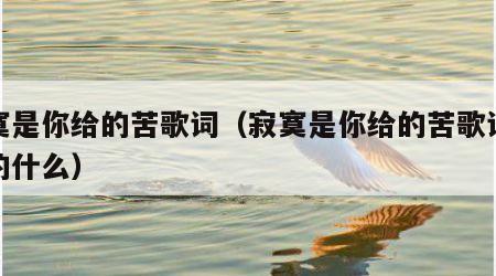 寂寞是你给的苦歌词（寂寞是你给的苦歌词表达的什么）