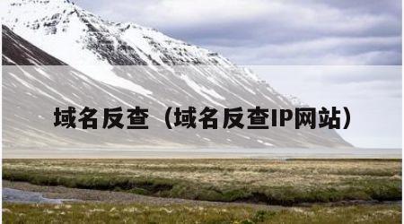 域名反查（域名反查IP网站）