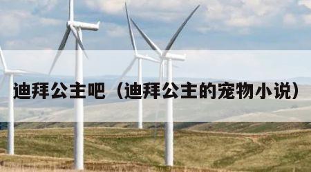 迪拜公主吧（迪拜公主的宠物小说）