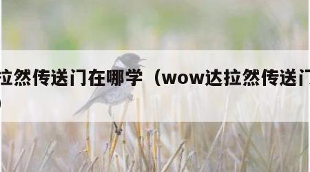 达拉然传送门在哪学（wow达拉然传送门在哪）