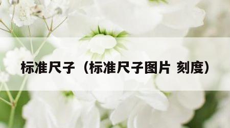 标准尺子（标准尺子图片 刻度）