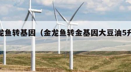 金龙鱼转基因（金龙鱼转金基因大豆油5升价格）