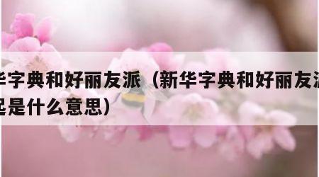 新华字典和好丽友派（新华字典和好丽友派放一起是什么意思）