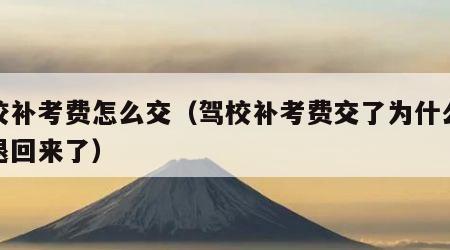 驾校补考费怎么交（驾校补考费交了为什么又给退回来了）
