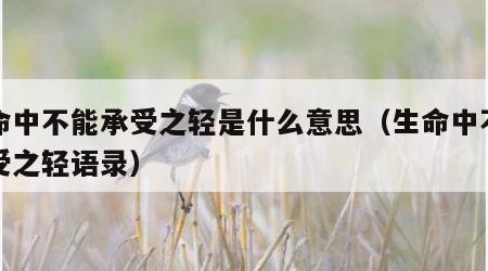 生命中不能承受之轻是什么意思（生命中不能承受之轻语录）