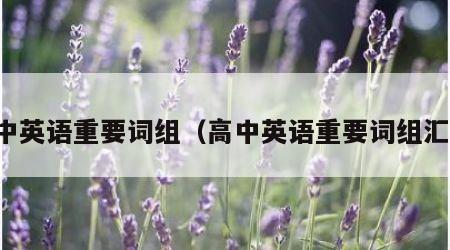 高中英语重要词组（高中英语重要词组汇总）