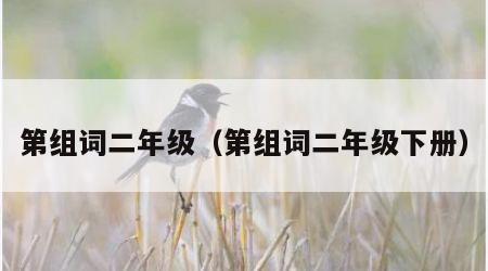 第组词二年级（第组词二年级下册）