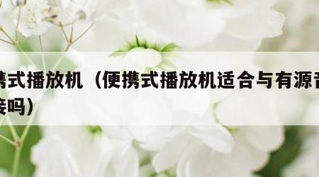 便携式播放机（便携式播放机适合与有源音箱连接吗）