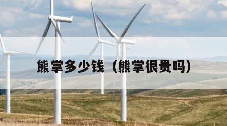 熊掌多少钱（熊掌很贵吗）