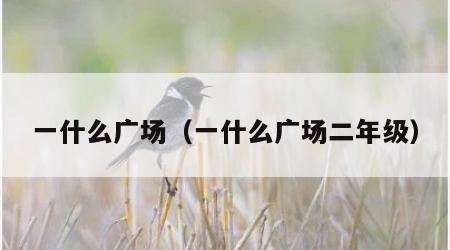 一什么广场（一什么广场二年级）