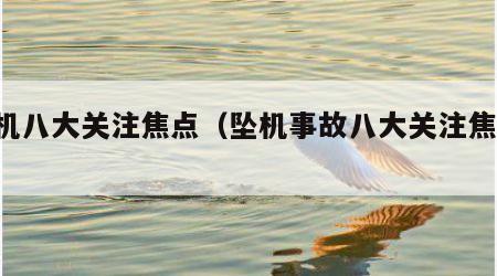 坠机八大关注焦点（坠机事故八大关注焦点冫）