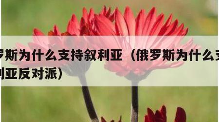 俄罗斯为什么支持叙利亚（俄罗斯为什么支持叙利亚反对派）