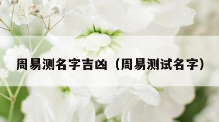 周易测名字吉凶（周易测试名字）