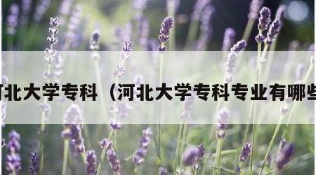 河北大学专科（河北大学专科专业有哪些）