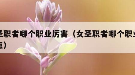 女圣职者哪个职业厉害（女圣职者哪个职业厉害点）