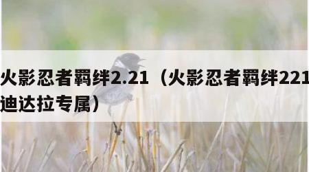 火影忍者羁绊2.21（火影忍者羁绊221迪达拉专属）