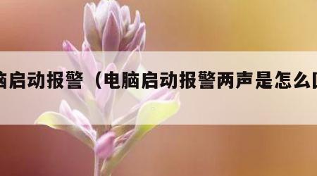 电脑启动报警（电脑启动报警两声是怎么回事）