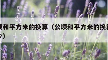 公顷和平方米的换算（公顷和平方米的换算是多少）