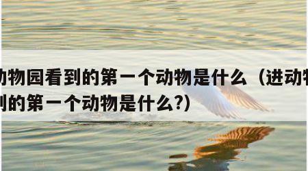 进动物园看到的第一个动物是什么（进动物园看到的第一个动物是什么?）