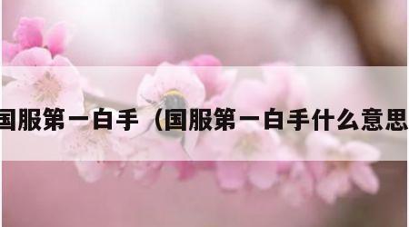 国服第一白手（国服第一白手什么意思）