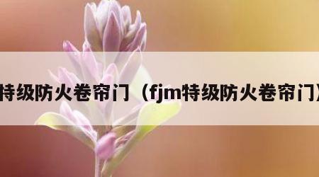 特级防火卷帘门（fjm特级防火卷帘门）