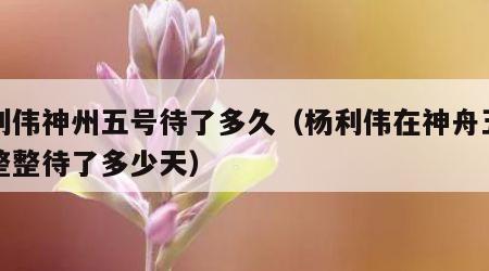 杨利伟神州五号待了多久（杨利伟在神舟五号里整整待了多少天）