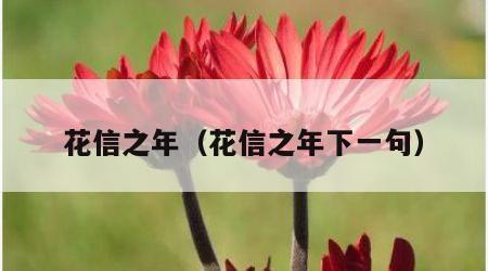 花信之年（花信之年下一句）