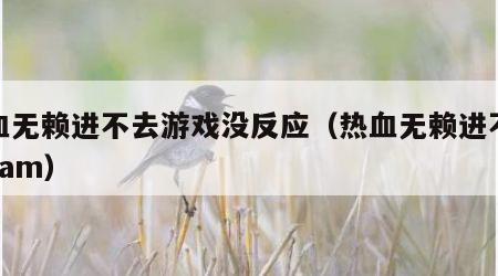 热血无赖进不去游戏没反应（热血无赖进不去steam）