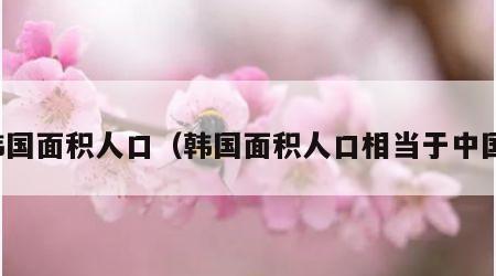 韩国面积人口（韩国面积人口相当于中国）