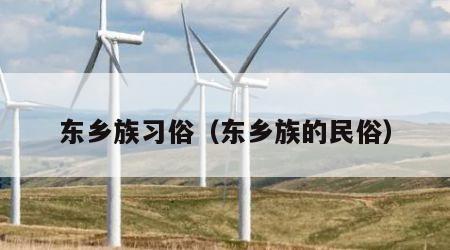 东乡族习俗（东乡族的民俗）