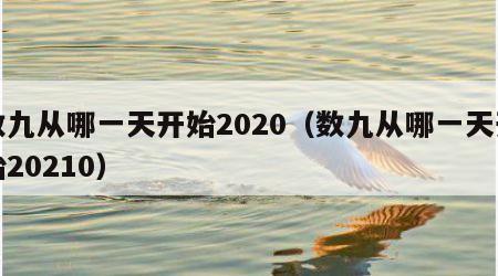 数九从哪一天开始2020（数九从哪一天开始20210）