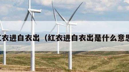 红衣进白衣出（红衣进白衣出是什么意思）