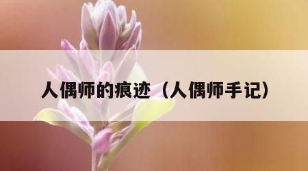 人偶师的痕迹（人偶师手记）