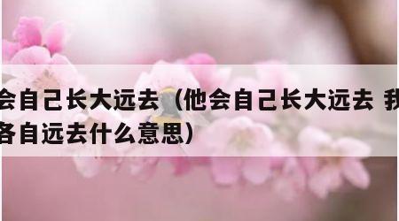 他会自己长大远去（他会自己长大远去 我们也各自远去什么意思）