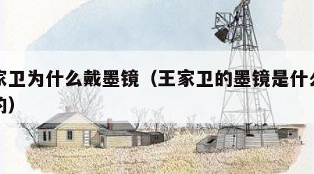 王家卫为什么戴墨镜（王家卫的墨镜是什么牌子的）