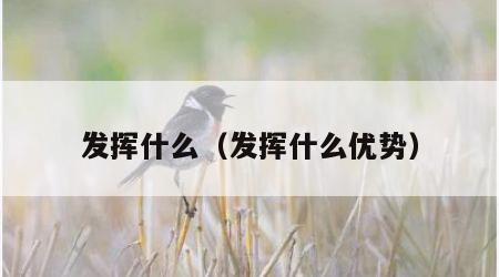 发挥什么（发挥什么优势）