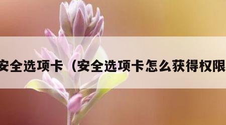 安全选项卡（安全选项卡怎么获得权限）