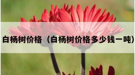 白杨树价格（白杨树价格多少钱一吨）