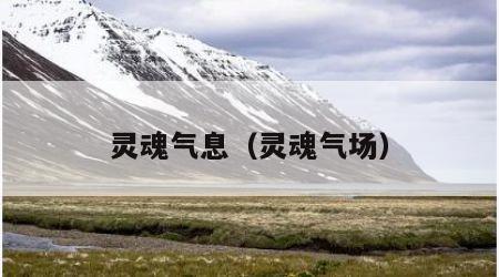 灵魂气息（灵魂气场）