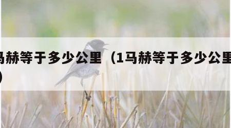 1马赫等于多少公里（1马赫等于多少公里每秒）