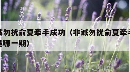 非诚勿扰俞夏牵手成功（非诚勿扰俞夏牵手成功是哪一期）
