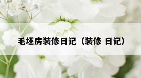 毛坯房装修日记（装修 日记）