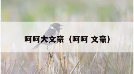 呵呵大文豪（呵呵 文豪）