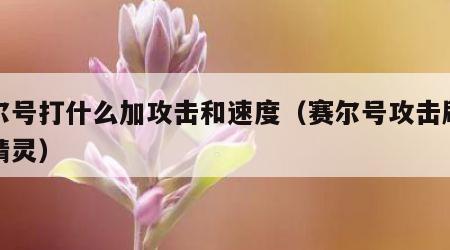 赛尔号打什么加攻击和速度（赛尔号攻击刷什么精灵）