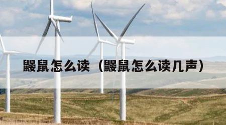 鼹鼠怎么读（鼹鼠怎么读几声）