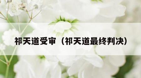 祁天道受审（祁天道最终判决）