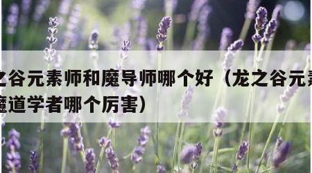 龙之谷元素师和魔导师哪个好（龙之谷元素师和魔道学者哪个厉害）